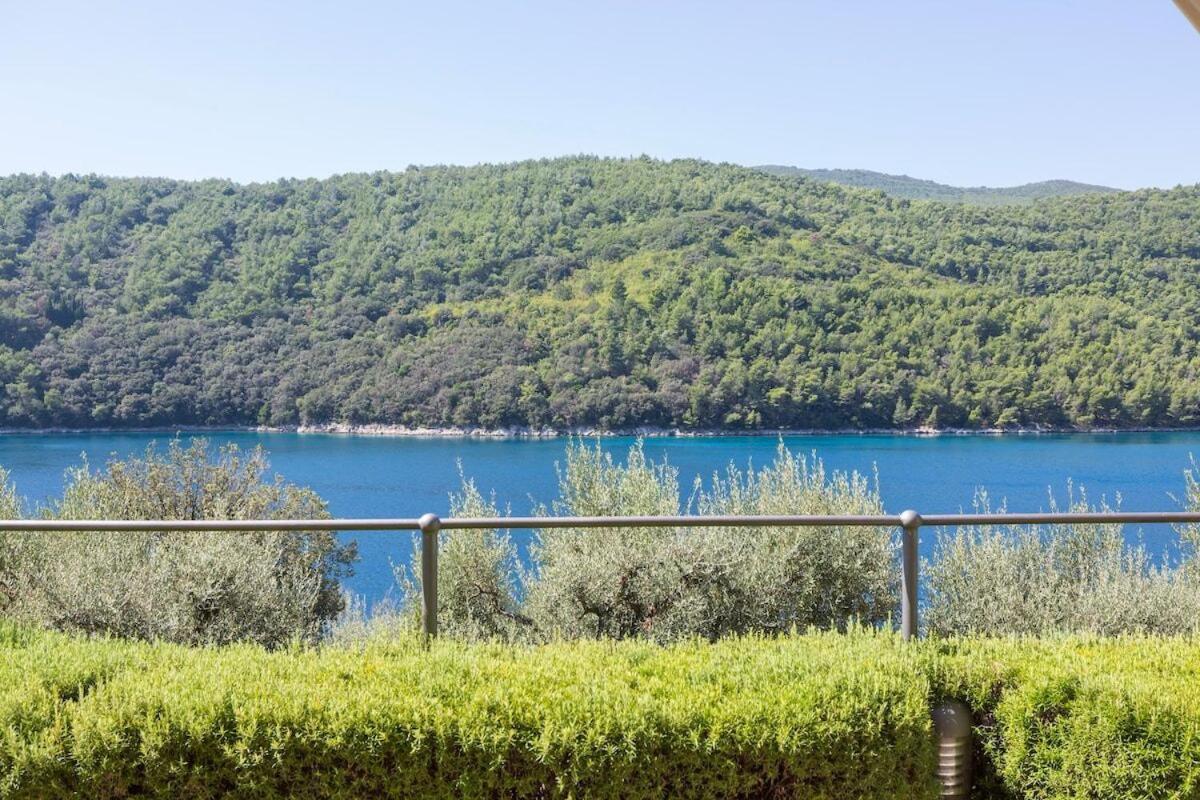 Istria Sea Side Apartment 210 & 209 Лабин Стая снимка