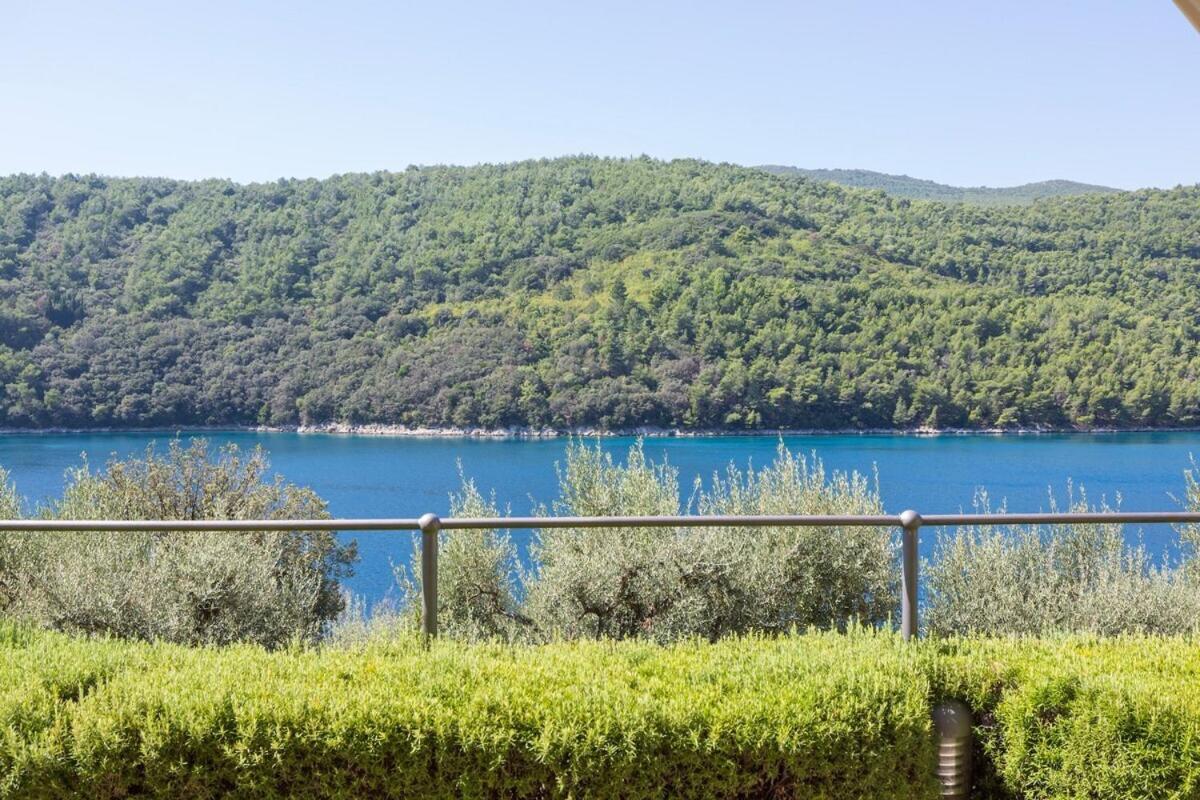 Istria Sea Side Apartment 210 & 209 Лабин Стая снимка