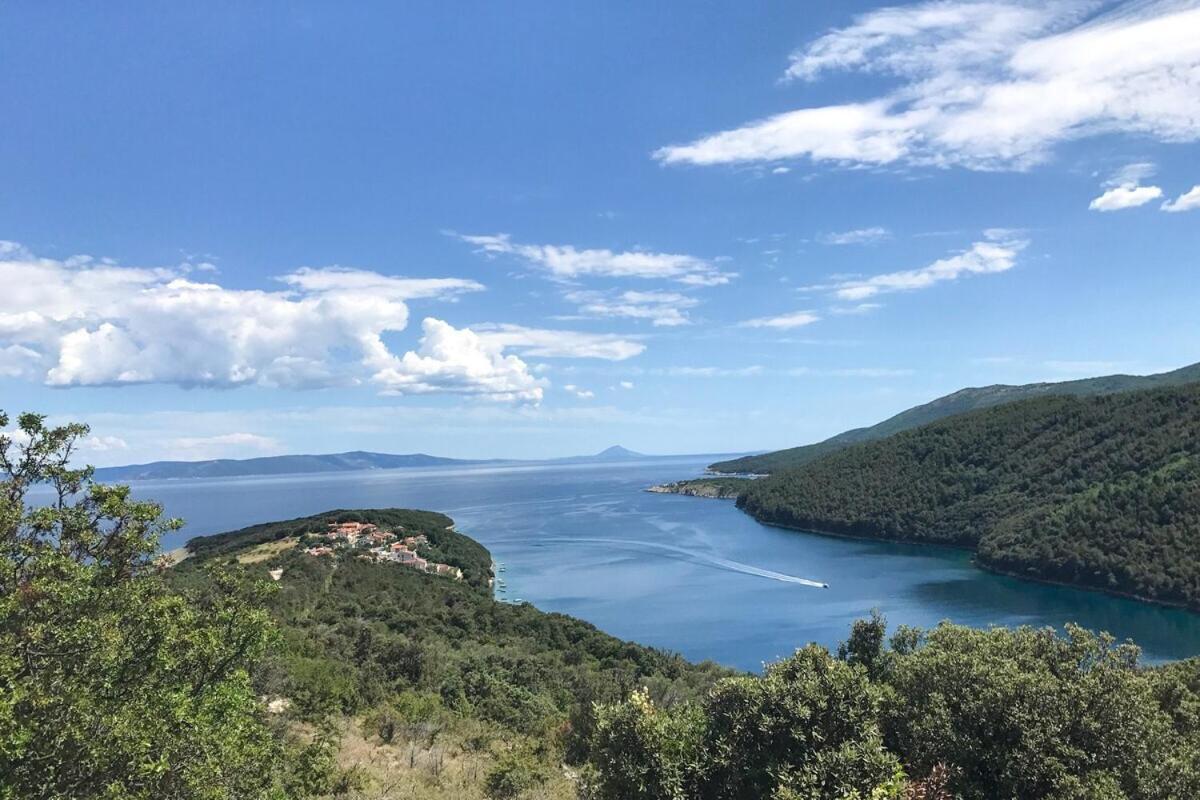 Istria Sea Side Apartment 210 & 209 Лабин Стая снимка